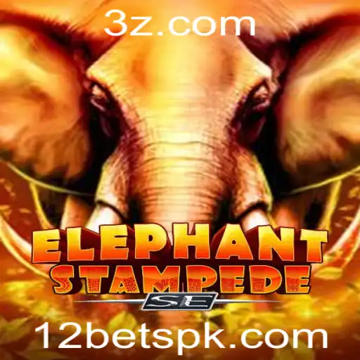 12bet Casino App